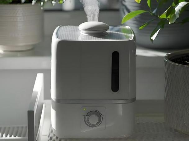 加湿器不如一盆水是真的吗