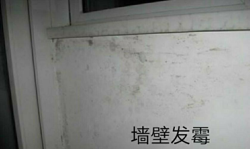 一招让墙停止发霉