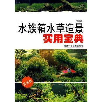鱼缸水浑怎么处理