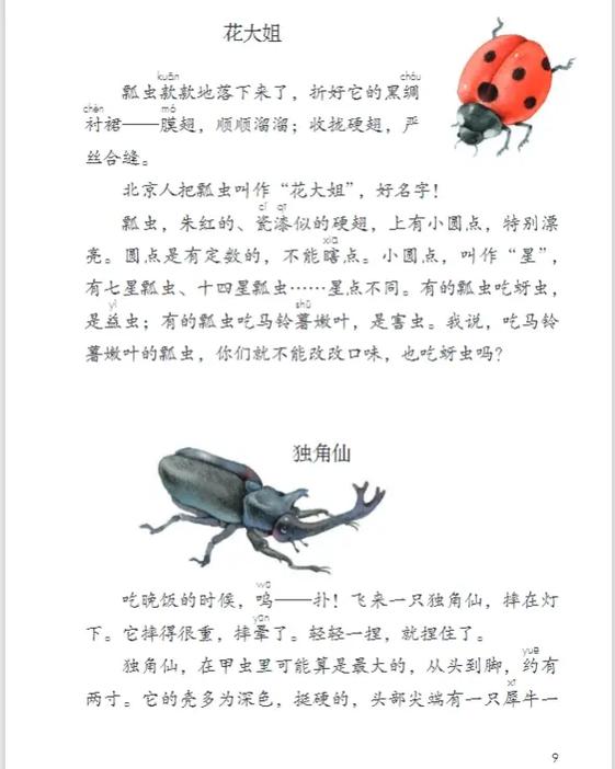 三年级甲虫的特点有哪些