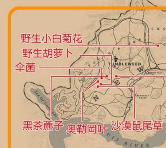 荒野大镖客2落雨草药截图