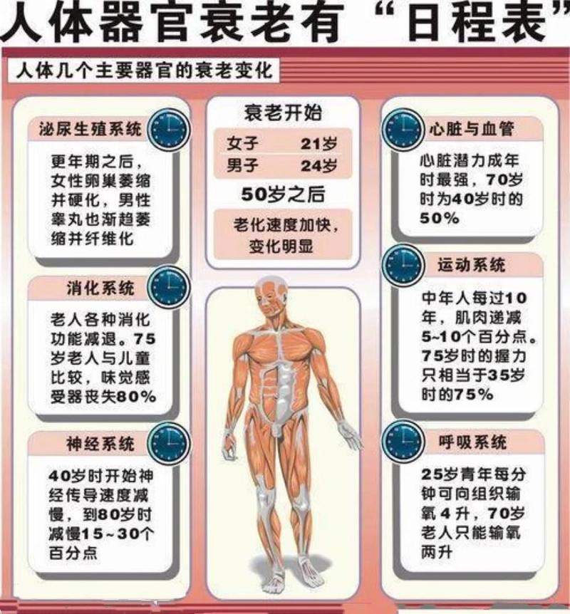 优优加速度器官网