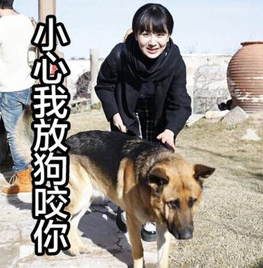 放狗咬你的表情包