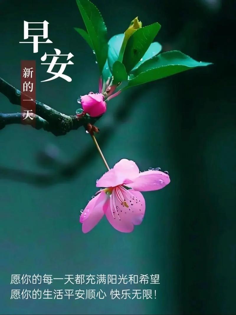 桃心形状玄学寓意
