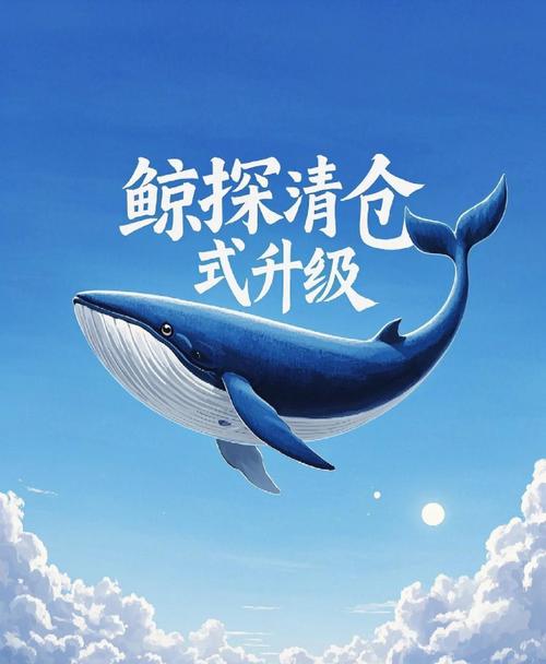 鲸贝地推