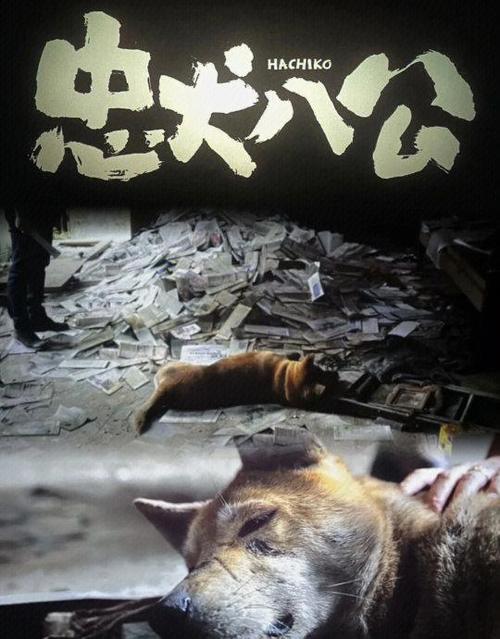 萌狗影视为啥打不开了