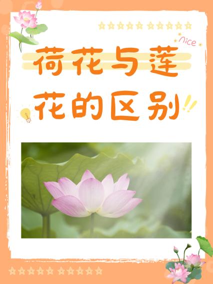 心如莲花和心若莲花的区别图标