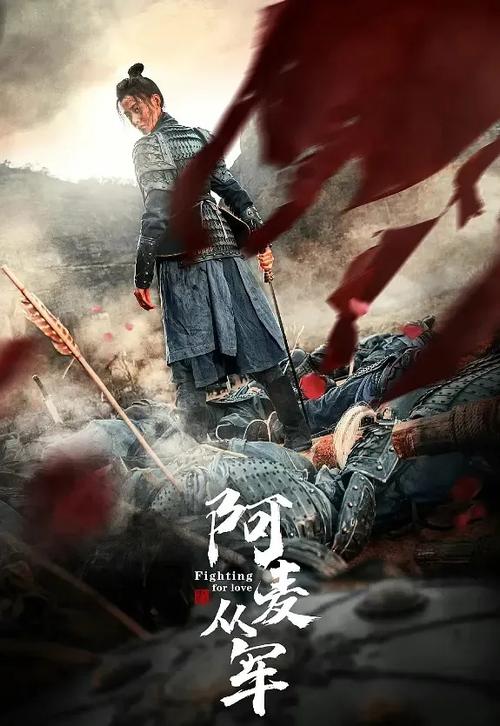 阿麦从军txt