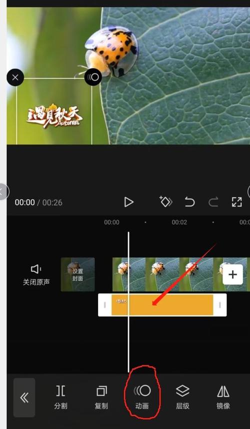 视频贴纸如何跟着脸动截图