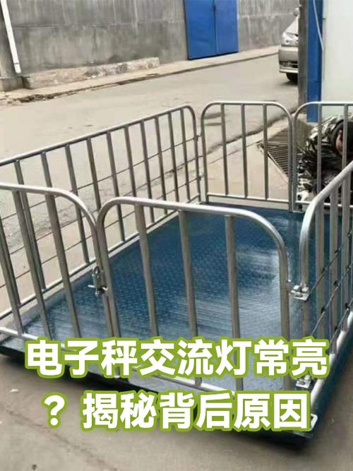电子秤交流灯一直亮怎么回事