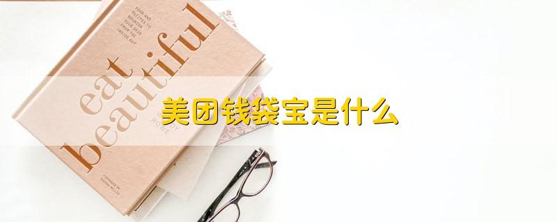美团的钱袋宝是什么