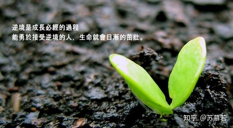 后置摄像头黑白清楚彩色模糊
