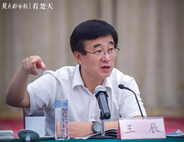 华夏第一战神王辰截图