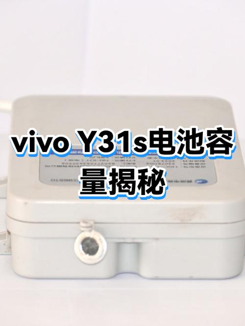 vivoy31电池容量多大游戏截图