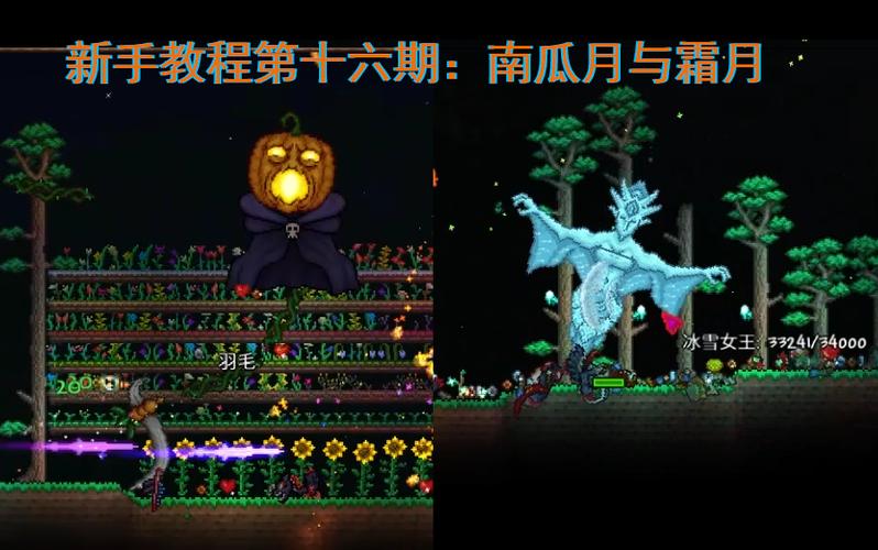 泰拉霜月难还是南瓜难截图