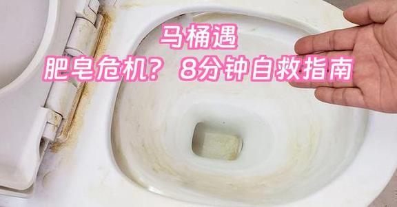 肥皂掉到马桶里堵了怎么办截图