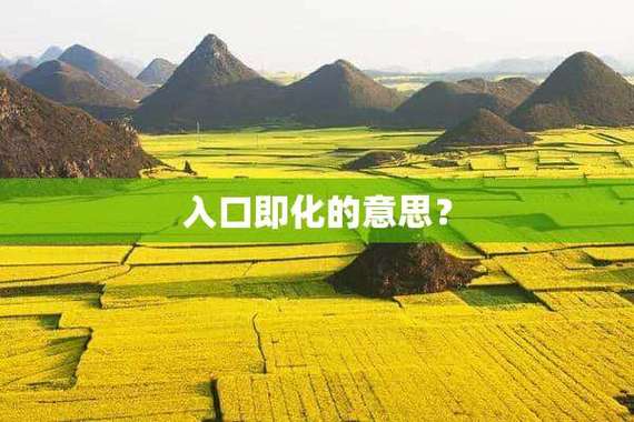 入口即化是什么意思