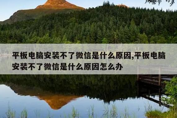 苹果ipad下不了微信