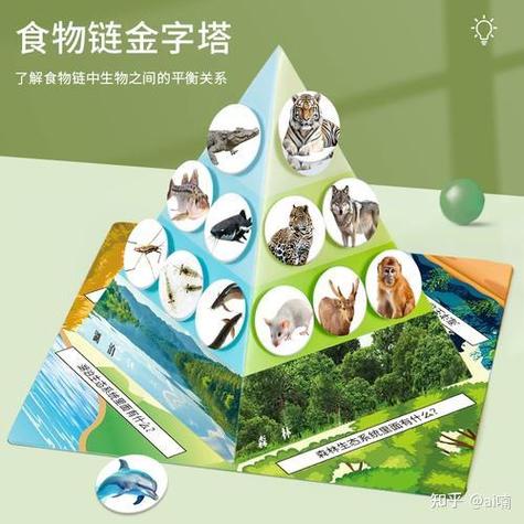 人类是食物链顶端吗图标