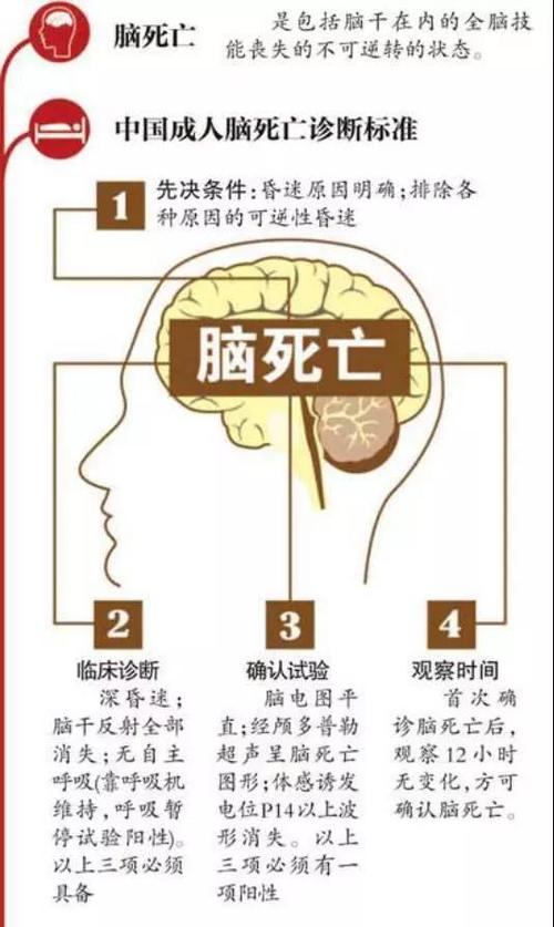 植物人和脑死亡的区别