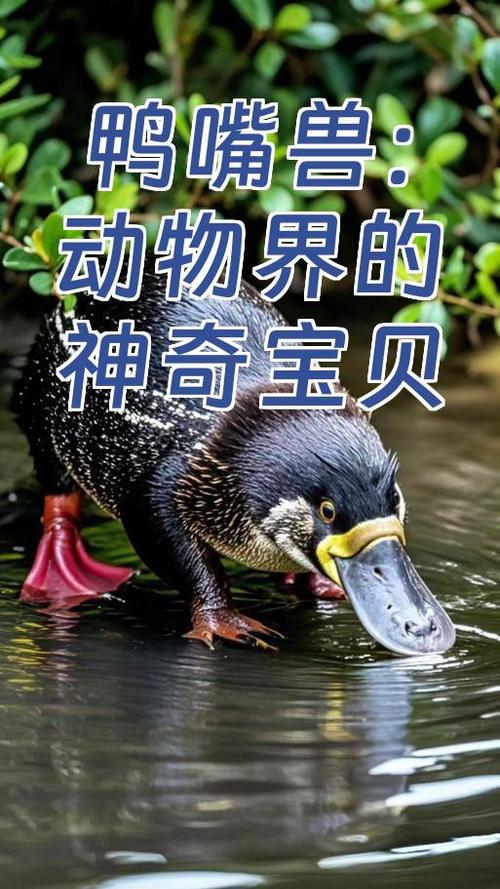 十大已灭绝宝可梦