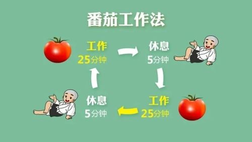 番茄的管理方法截图