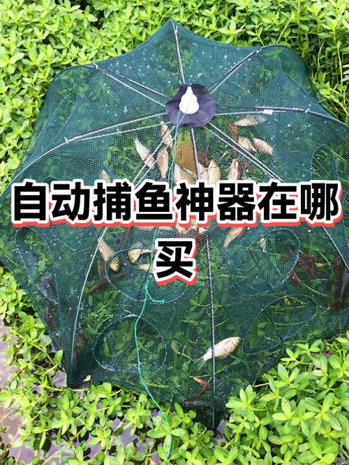 捕鱼输了好几十万报警