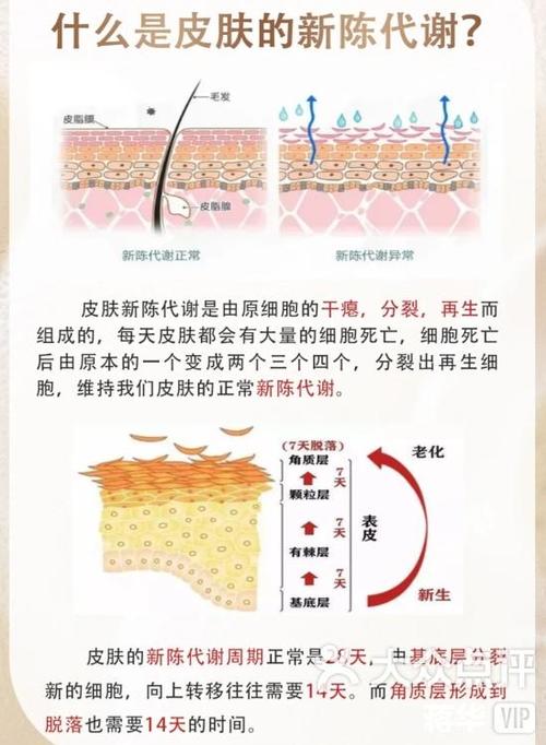 如何加速面部皮肤新陈代谢