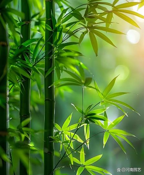 竹子节节高升的诗句缩略图