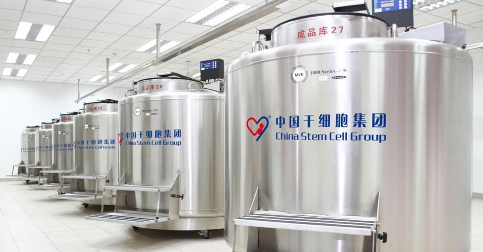 中国干细胞集团