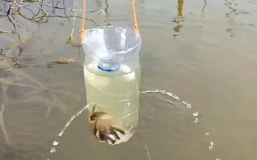 怎么用塑料瓶抓鱼