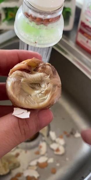 带毛的活珠子能吃吗图标