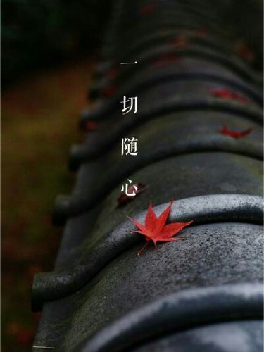 免费p图软件手机版