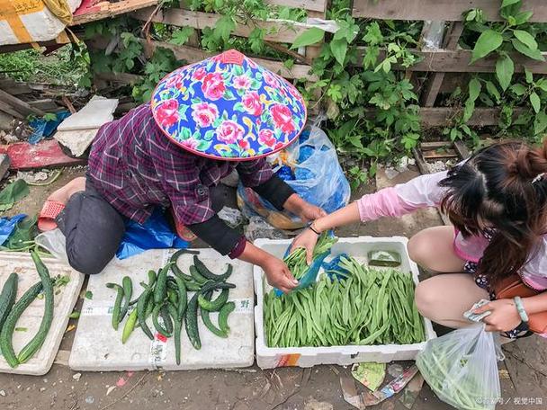 十大卖菜平台