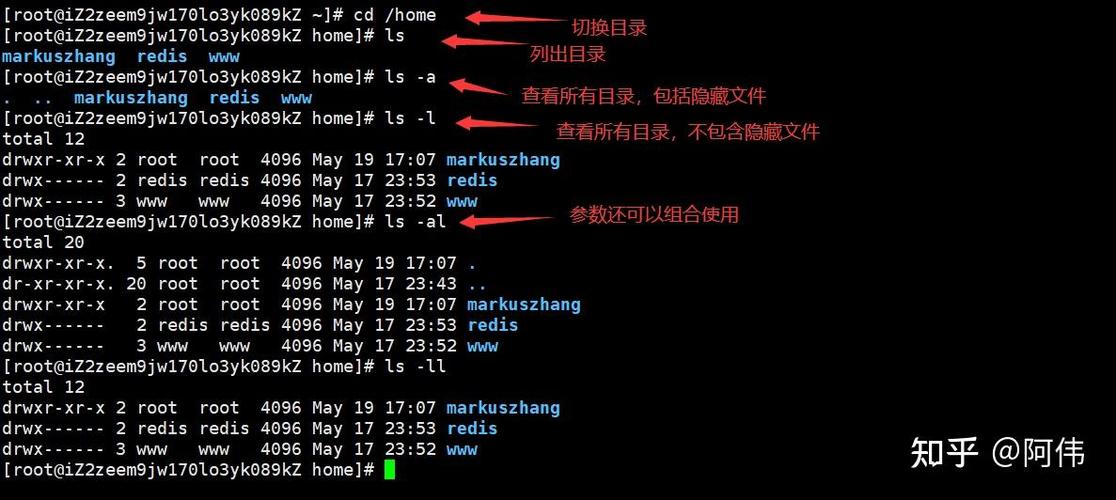 linux根目录满找不到文件