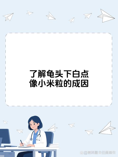 白丁是指什么人