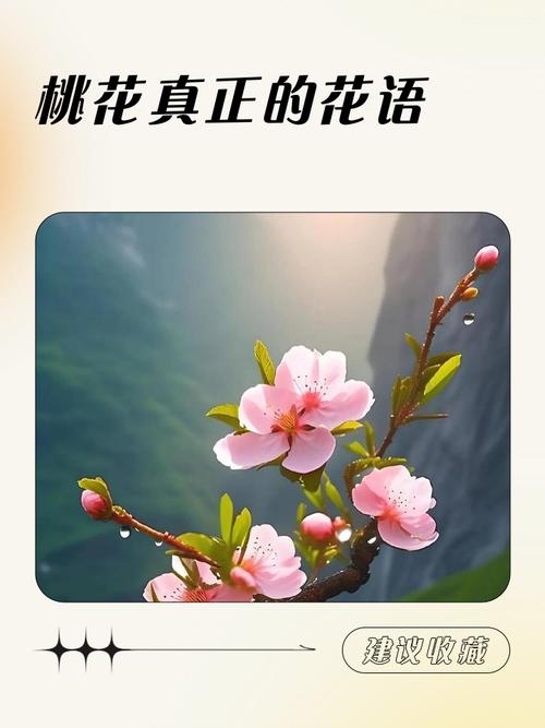 梦见摘桃子是吉是凶图标