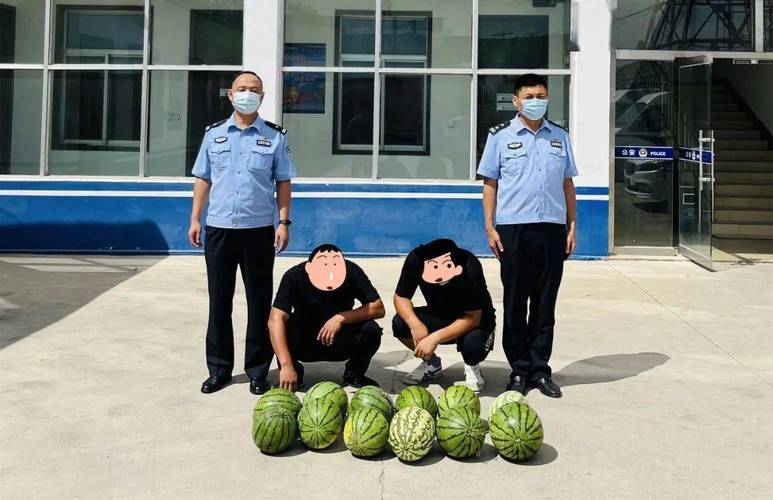 西瓜实名认证会被警察抓吗游戏截图