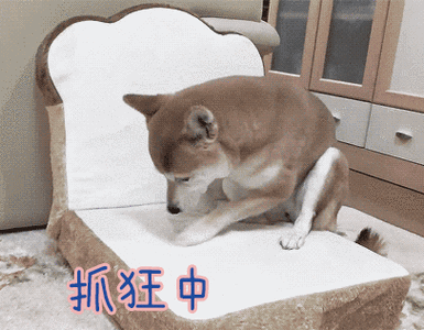 中中中动态表情包