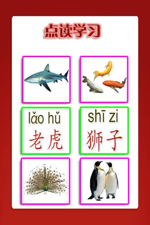 识动物