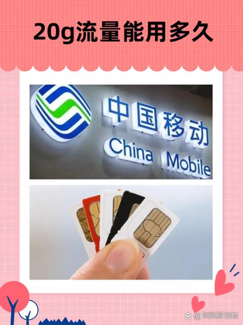 流量50个g能用多长时间