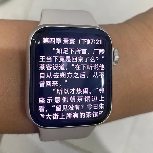 小说阅读器手表版