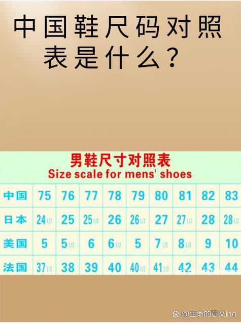 欧洲尺码与中国尺码换算表缩略图