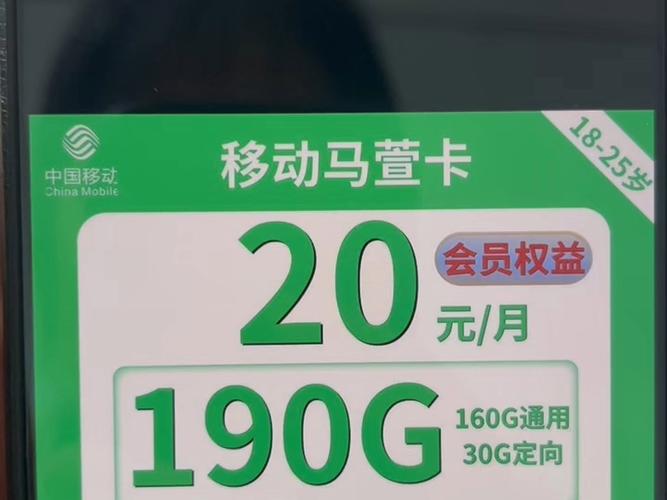 移动高清标准版20元是什么游戏截图