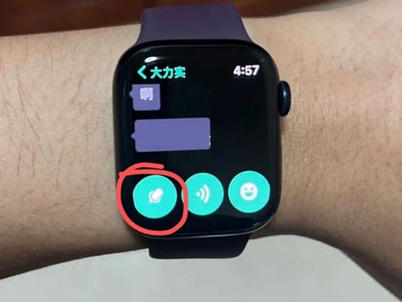 苹果手表怎么播放微信声音
