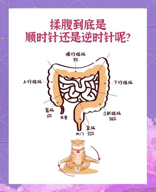 揉肚子肠鸣视频