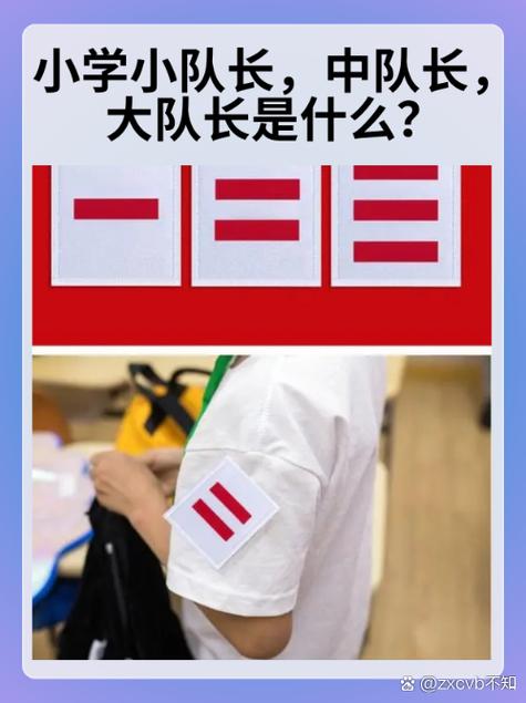 大队中队小队截图