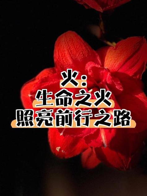 七组如何决出前3