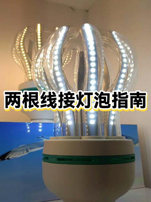 灯泡两根线是什么线