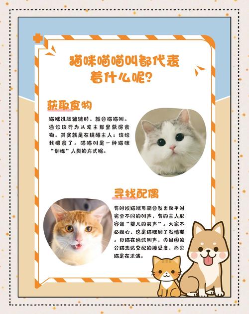 对猫叫猫回应是什么意思截图